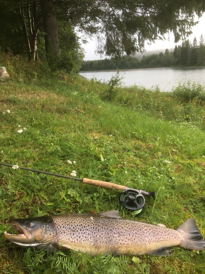 Bakarstuo, Utpa Neset Villa Trofors Luaran gambar