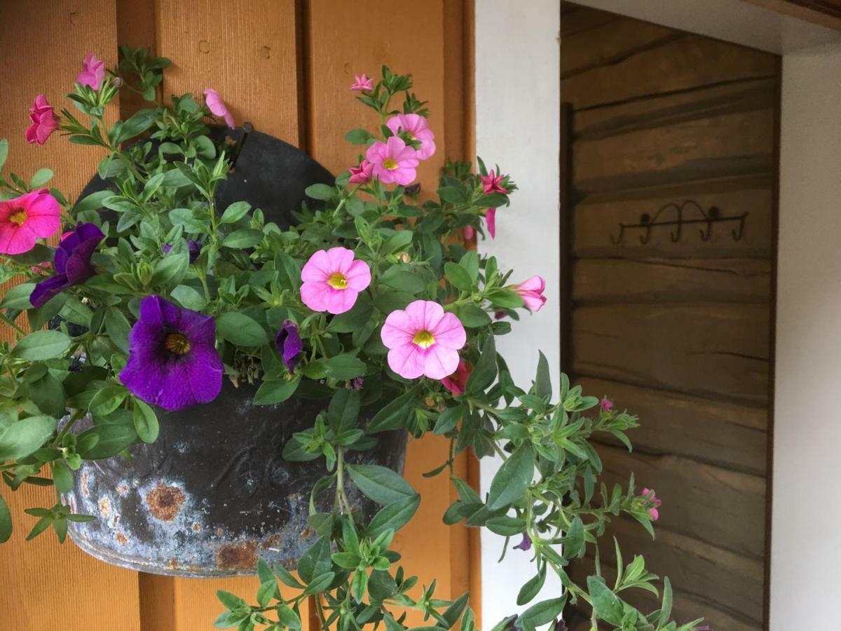 Bakarstuo, Utpa Neset Villa Trofors Luaran gambar